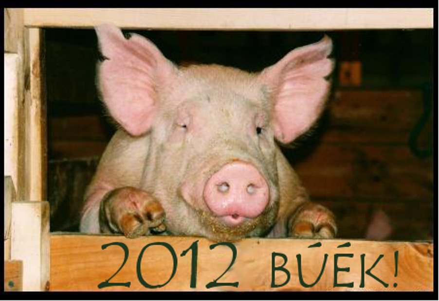 B.Ú.É.K.! 2012